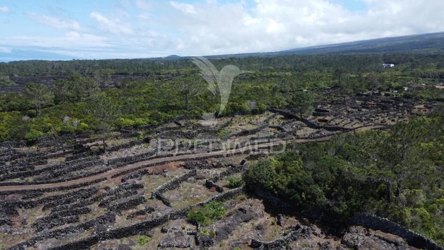Terreno para Venda em Bandeiras Foto 2