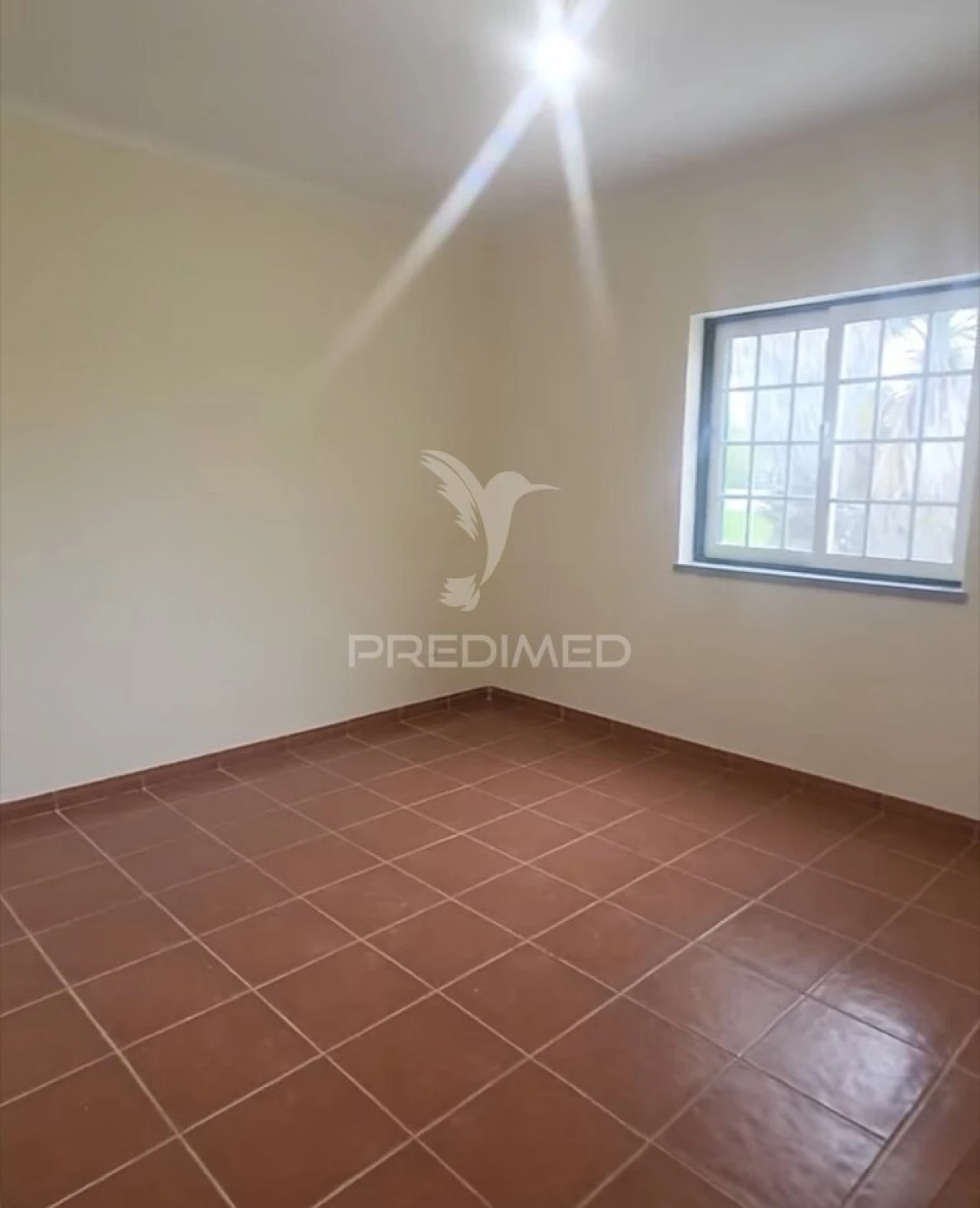 Moradia T3 para Venda em Glória do Ribatejo e Granho Foto 34