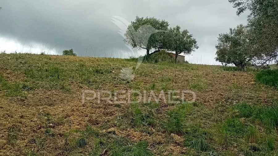 Terreno para Venda em Pernes