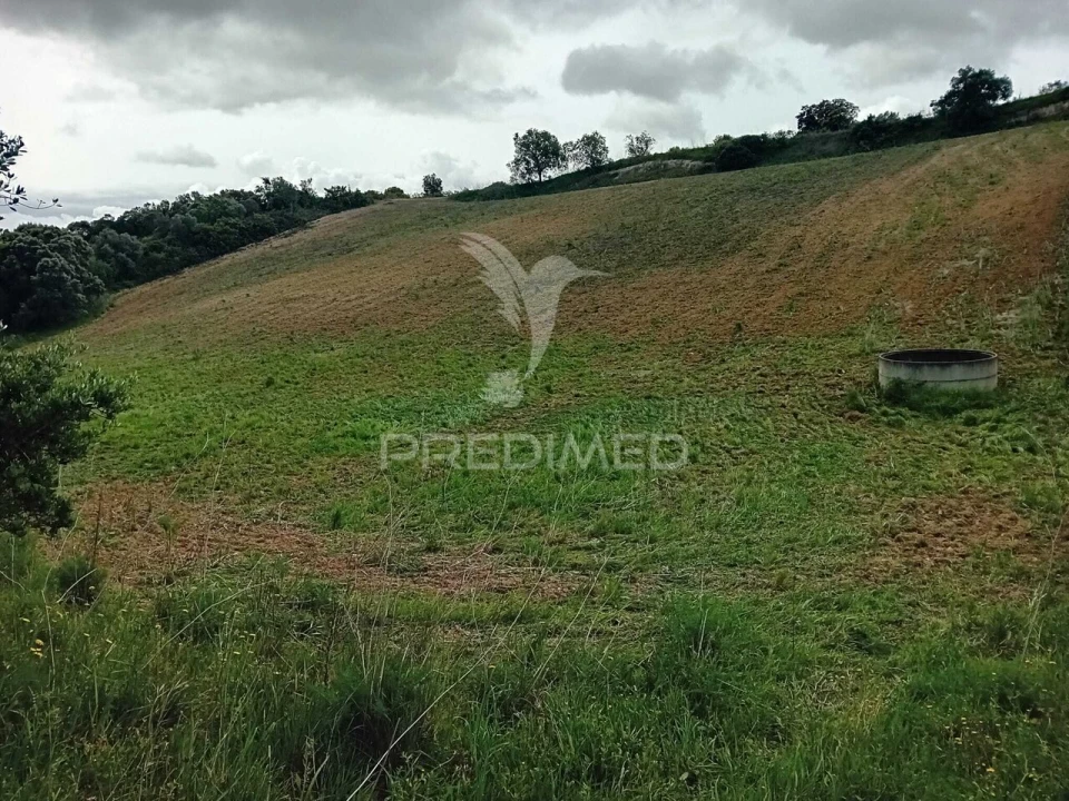 Terreno para Venda em Pernes Foto 1