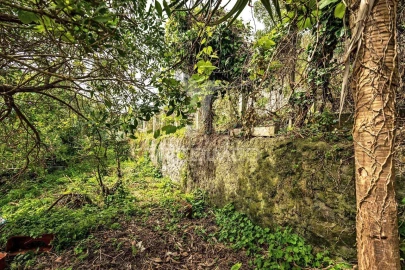 Moradia T5 para Venda em Angra (São Pedro)