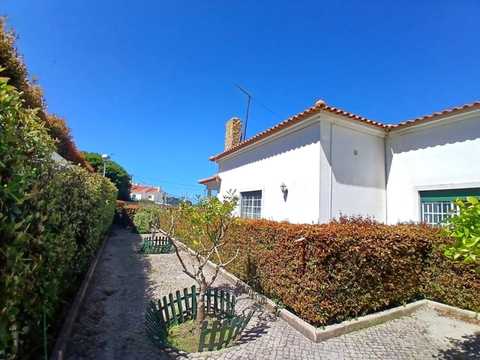 Moradia T3 para Venda em Santo Isidoro Foto 23