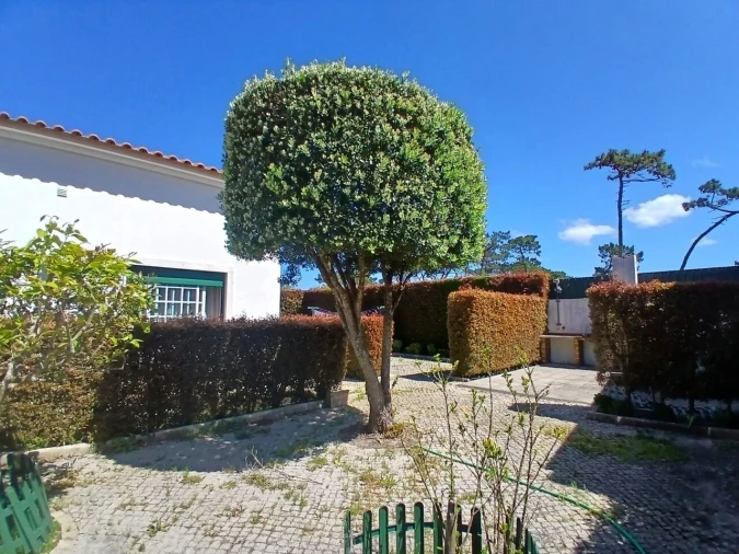 Moradia T3 para Venda em Santo Isidoro Foto 24