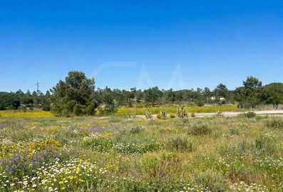 Terreno para Venda em Comporta