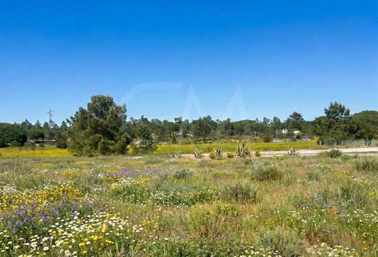 Terreno para Venda em Comporta Foto 5