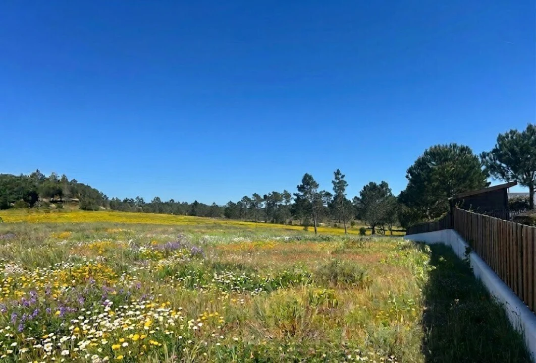 Terreno para Venda em Comporta Foto 3
