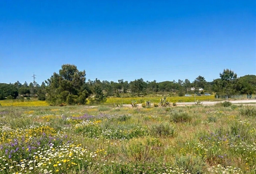 Terreno para Venda em Comporta Foto 5