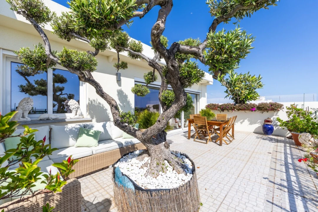 Apartamento T7 para Venda em Faro (Sé e São Pedro) Foto 25