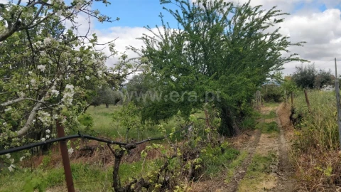 Terreno para Venda em Fundão, Valverde, Donas, A. Joanes, A. Nova Cabo
