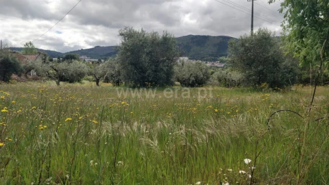 Terreno para Venda em Fundão, Valverde, Donas, A. Joanes, A. Nova Cabo