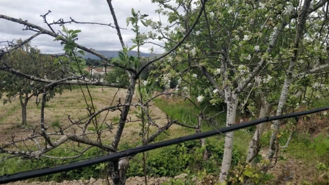 Terreno para Venda em Fundão, Valverde, Donas, A. Joanes, A. Nova Cabo