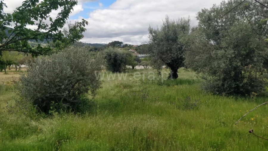 Terreno para Venda em Fundão, Valverde, Donas, A. Joanes, A. Nova Cabo Foto 3