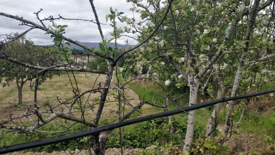 Terreno para Venda em Fundão, Valverde, Donas, A. Joanes, A. Nova Cabo Foto 5