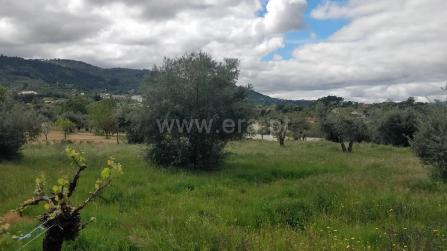 Terreno para Venda em Fundão, Valverde, Donas, A. Joanes, A. Nova Cabo
