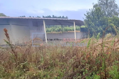 Moradia T4 para Venda em Vila Nova de Monsarros