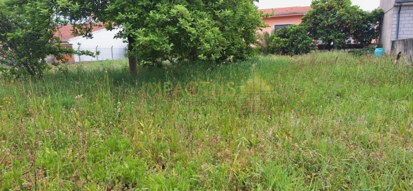 Terreno para Venda em Coronado (São Romão e São Mamede)