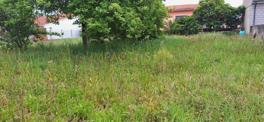 Terreno para Venda em Coronado (São Romão e São Mamede) Foto 10
