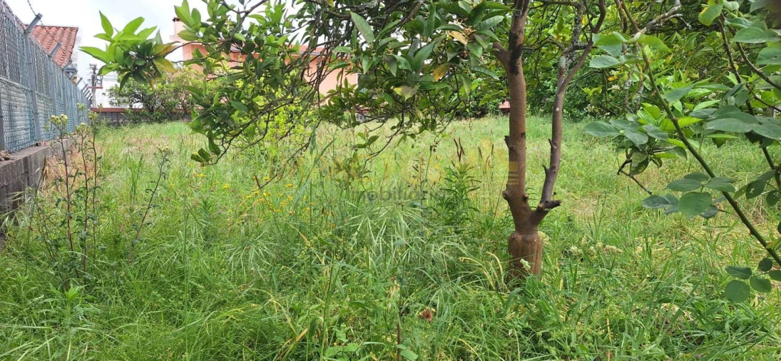 Terreno para Venda em Coronado (São Romão e São Mamede) Foto 12