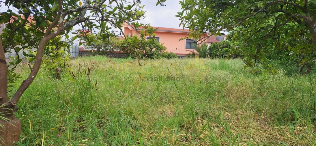 Terreno para Venda em Coronado (São Romão e São Mamede) Foto 9
