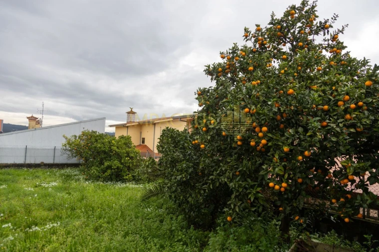 Terreno para Venda em Coronado (São Romão e São Mamede) Foto 8