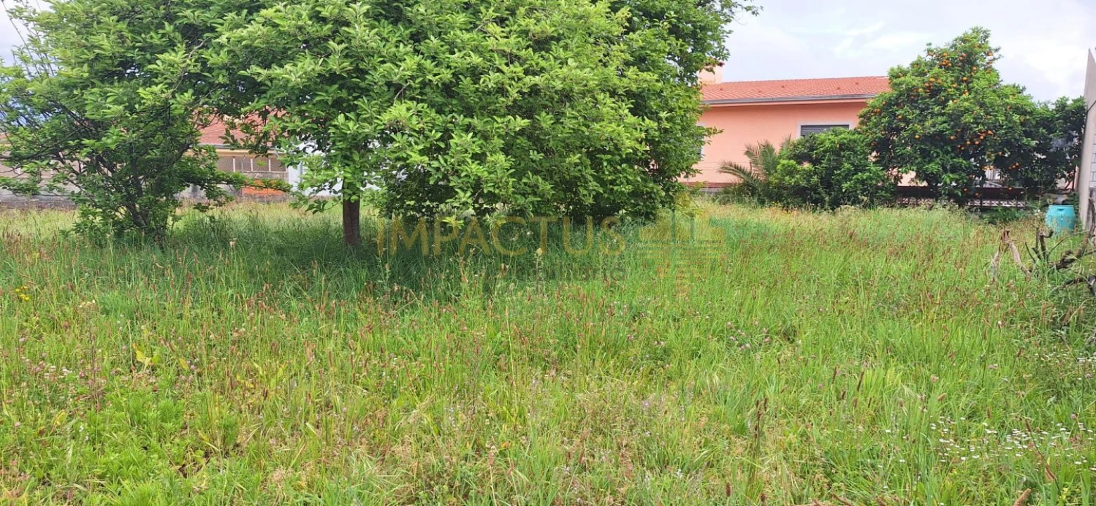 Terreno para Venda em Coronado (São Romão e São Mamede) Foto 11