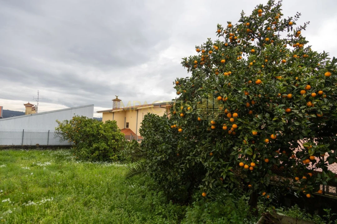 Terreno para Venda em Coronado (São Romão e São Mamede) Foto 8