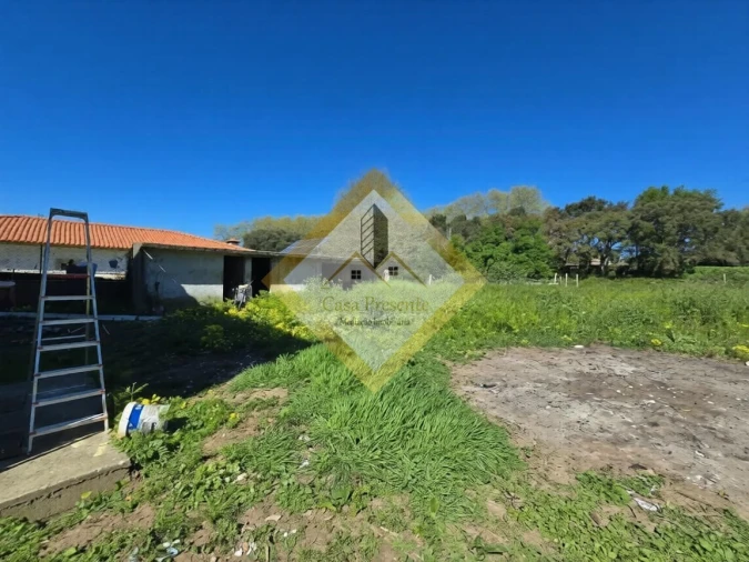 Moradia T4 para Venda em Santa Maria de Lamas Foto 3