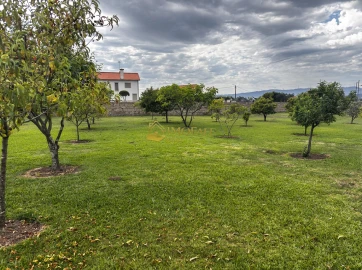 Moradia T6 para Venda em Santa Maria Maior e Monserrate e Meadela