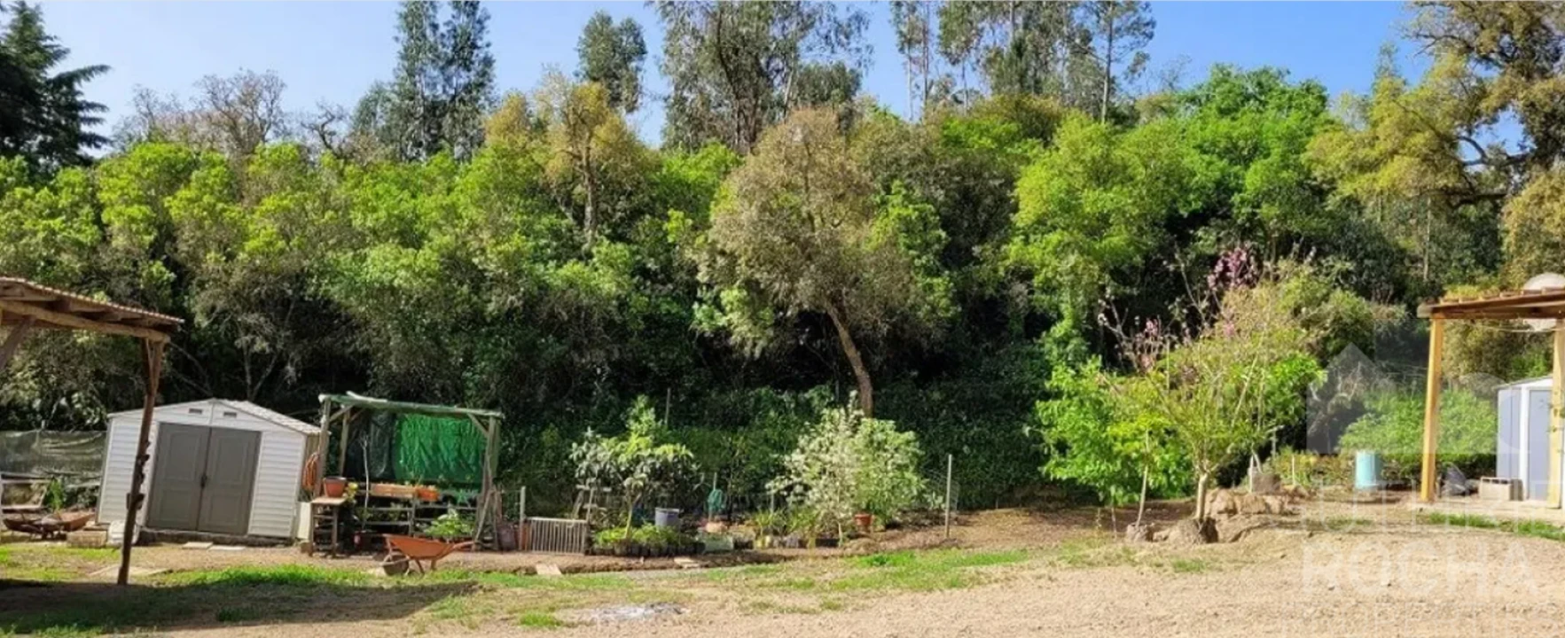 Quinta T1 para Venda em São Teotónio Foto 16