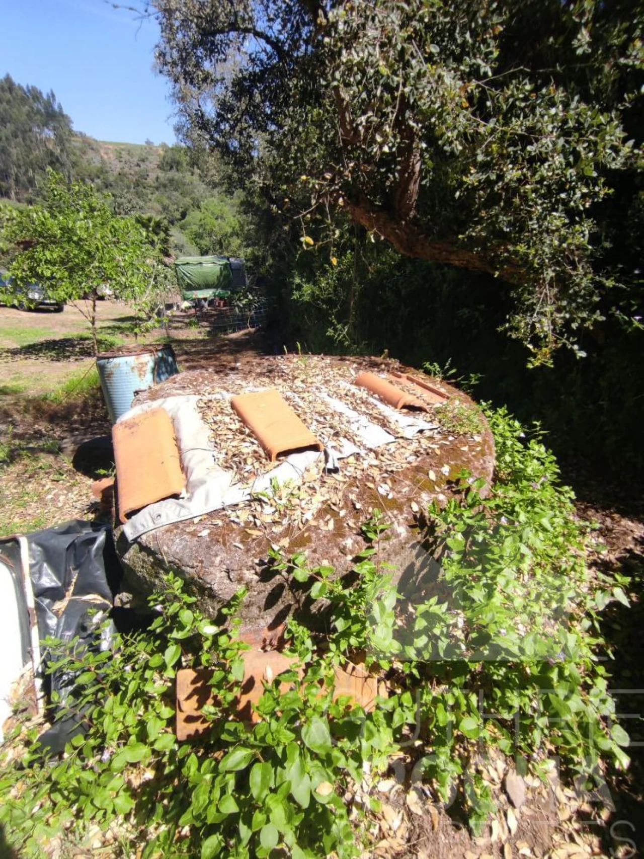 Quinta T1 para Venda em São Teotónio Foto 14