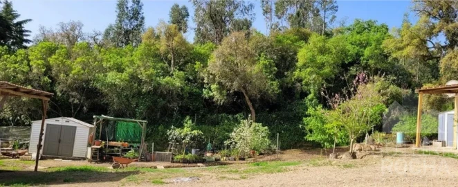 Quinta T1 para Venda em São Teotónio