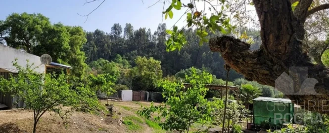 Quinta T1 para Venda em São Teotónio