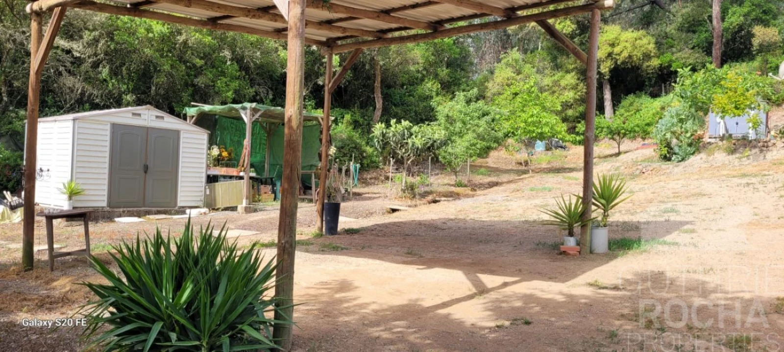 Quinta T1 para Venda em São Teotónio Foto 4
