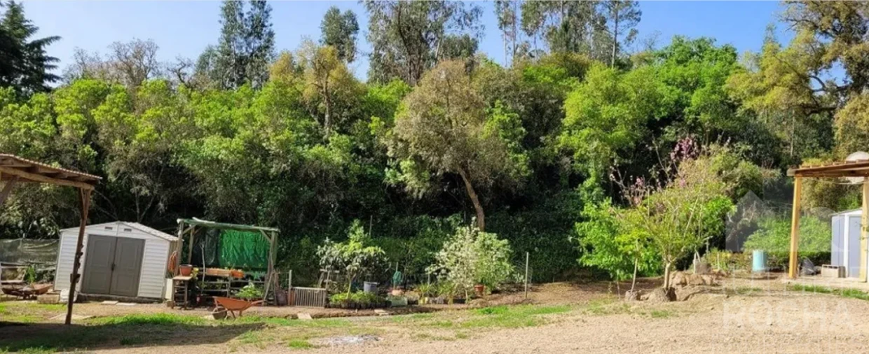 Quinta T1 para Venda em São Teotónio Foto 16