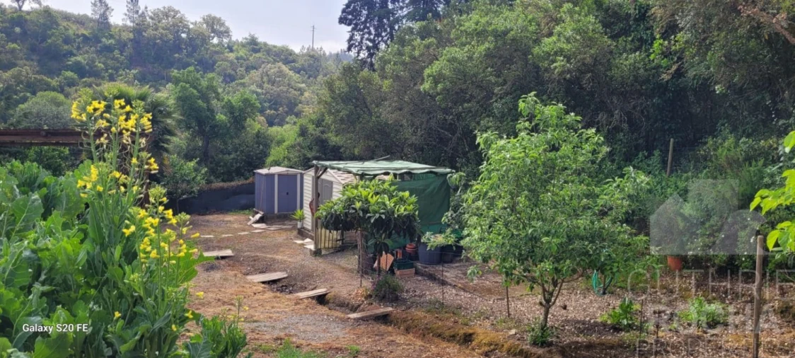 Quinta T1 para Venda em São Teotónio Foto 18