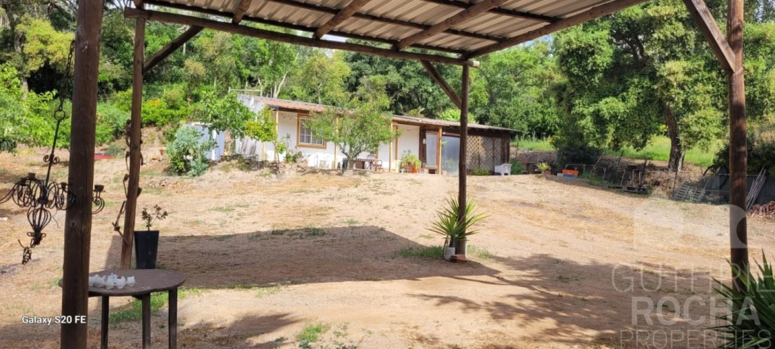 Quinta T1 para Venda em São Teotónio Foto 3