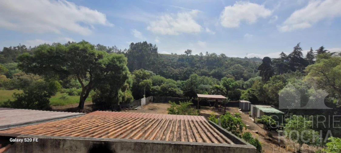 Quinta T1 para Venda em São Teotónio Foto 29