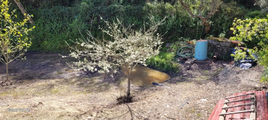 Quinta T1 para Venda em São Teotónio Foto 24