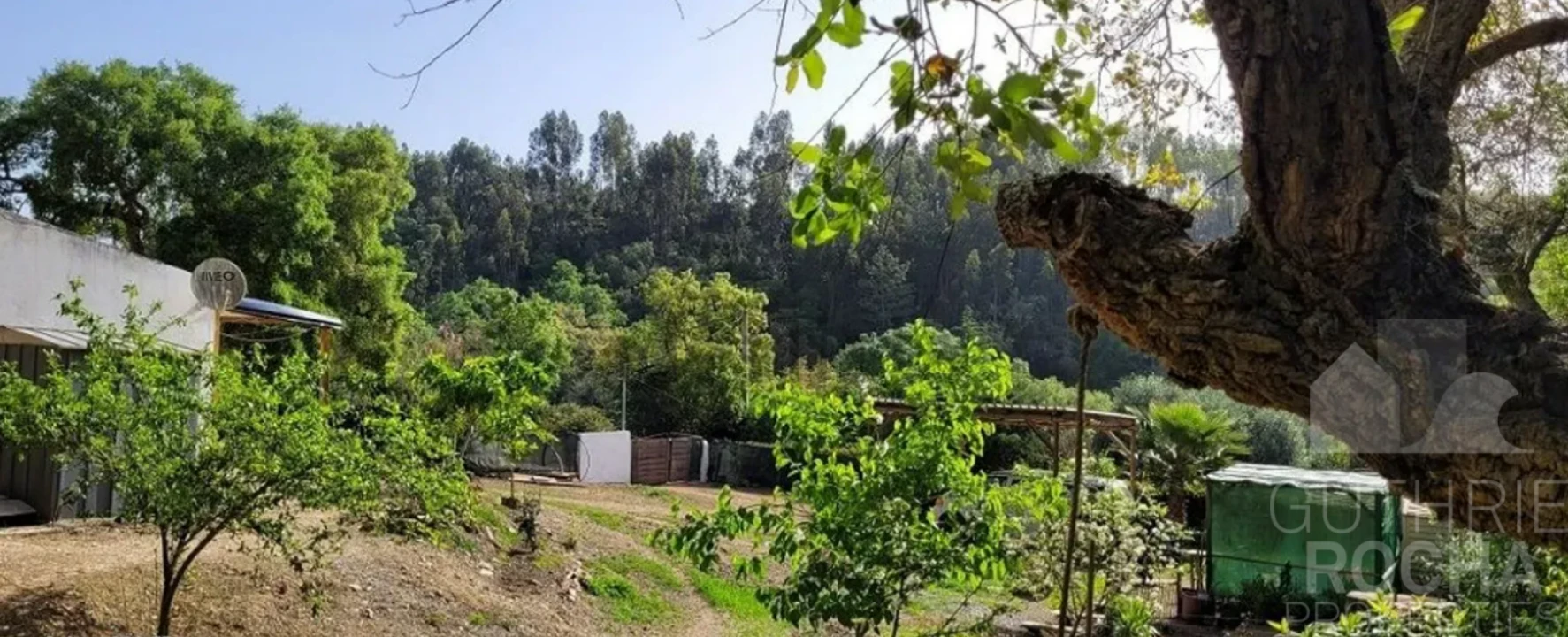 Quinta T1 para Venda em São Teotónio Foto 17