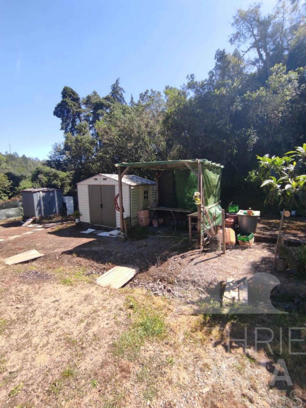 Quinta T1 para Venda em São Teotónio Foto 19