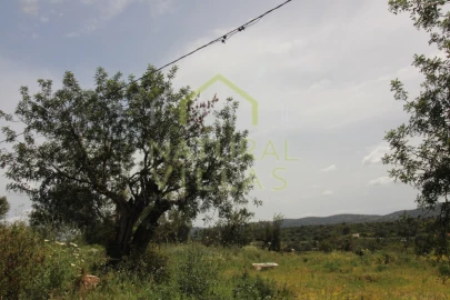 Terreno Agricola ou Rústico para Venda em São Brás de Alportel