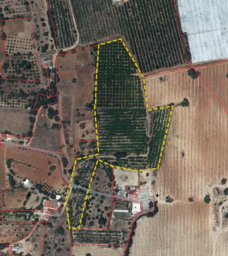 Terreno Agricola ou Rústico para Venda em Conceição e Estoi Planta 1