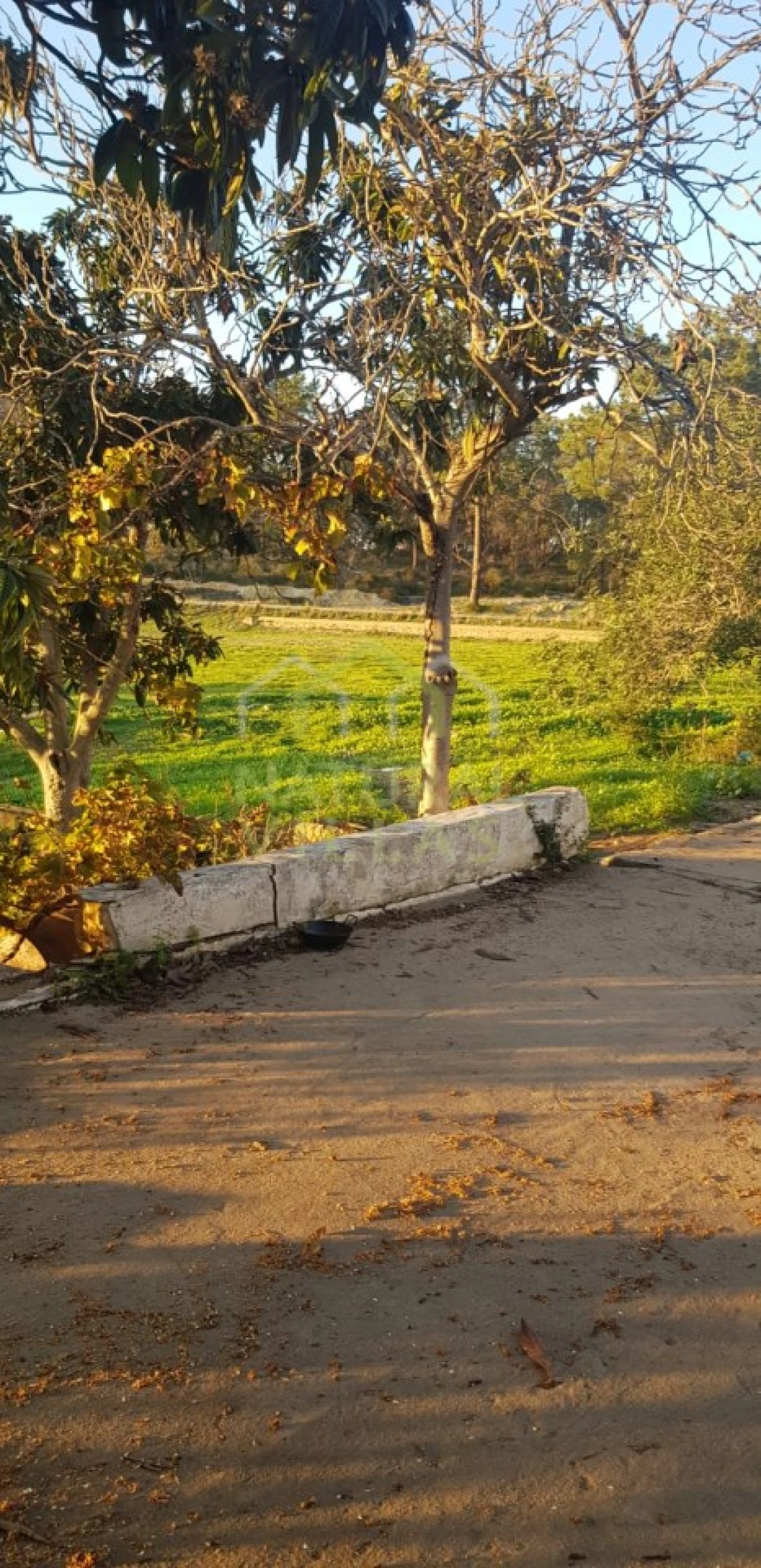 Quinta T2 para Venda em Pechão Foto 12
