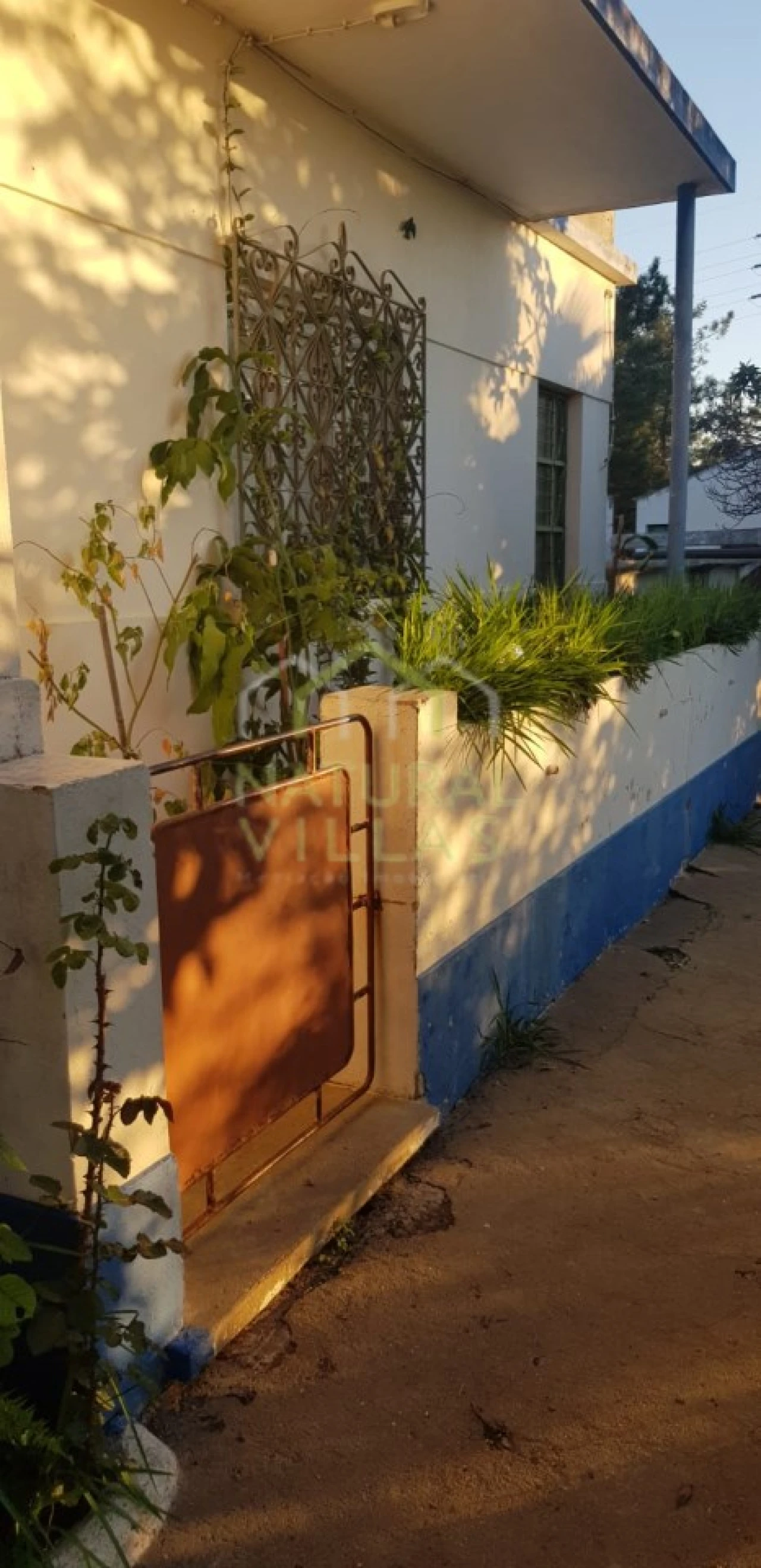 Quinta T2 para Venda em Pechão Foto 8
