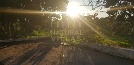 Quinta T2 para Venda em Pechão