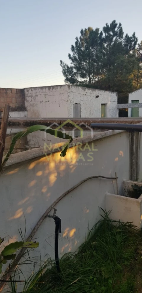 Quinta T2 para Venda em Pechão