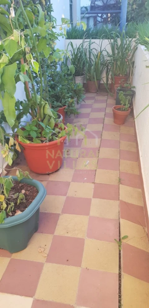 Quinta T2 para Venda em Pechão