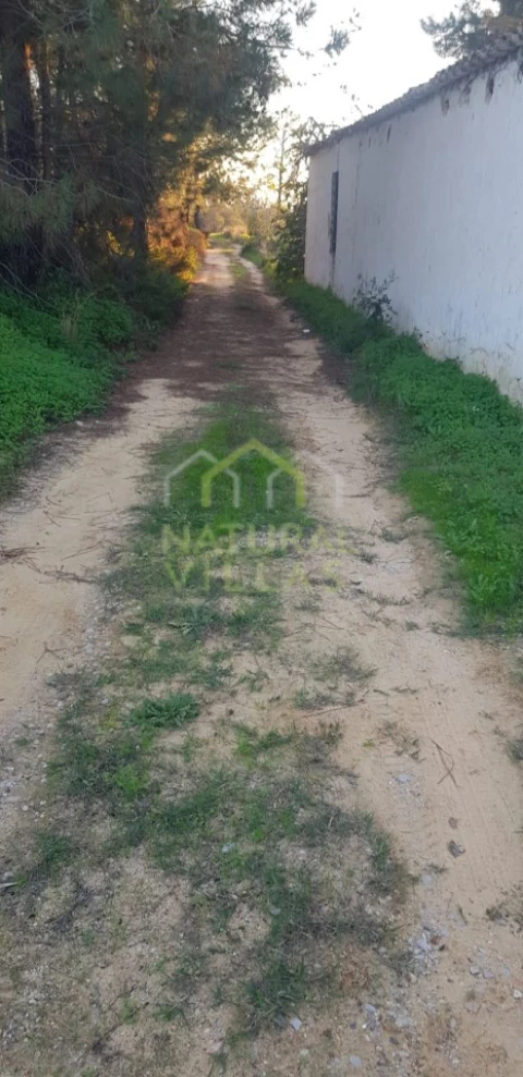 Quinta T2 para Venda em Pechão