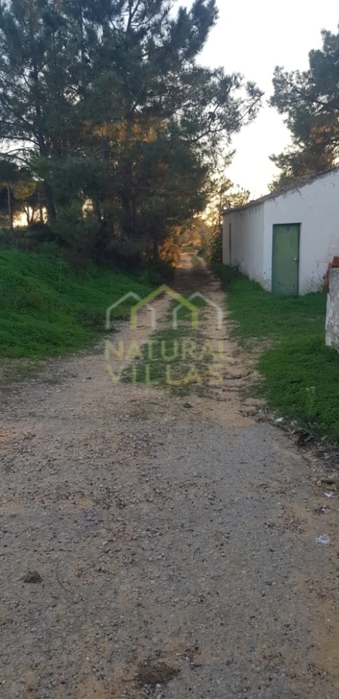 Quinta T2 para Venda em Pechão