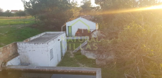 Quinta T2 para Venda em Pechão